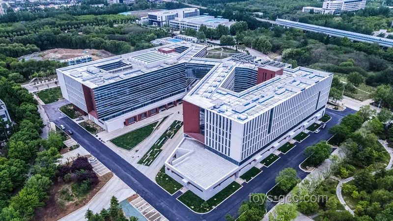 美国识字率仅79%：教育不平等与行业影响深度剖析
